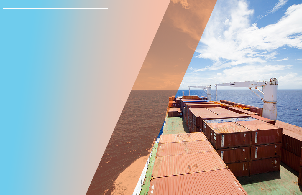Compulsory Third Party Liability (CTPL)